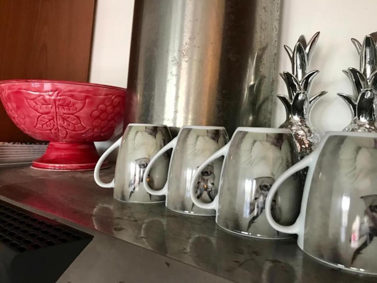 Wohnung Mit Direktem Meerzugang Torvaianica Εξωτερικό φωτογραφία